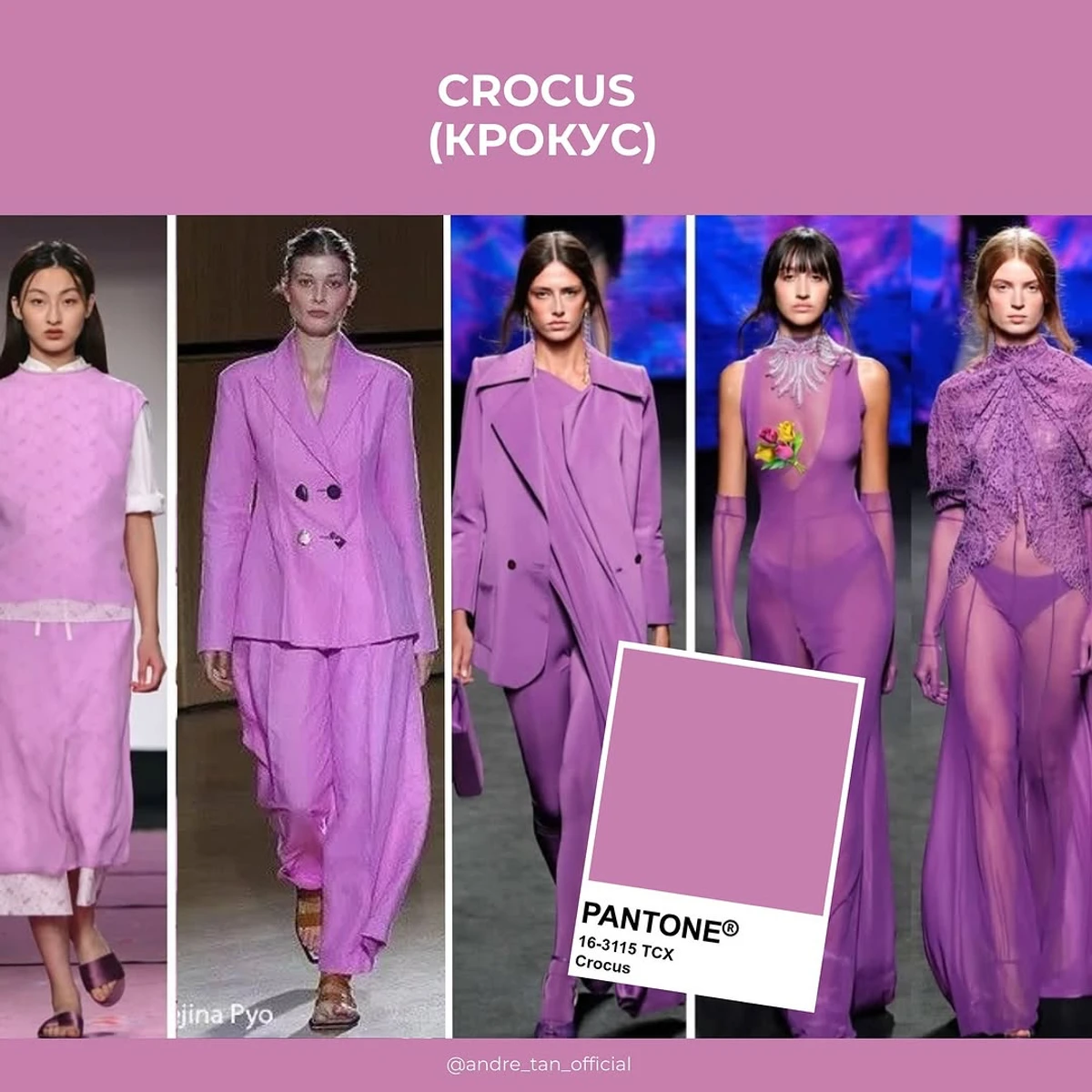 Крокус - відтінок літа-весни 2025