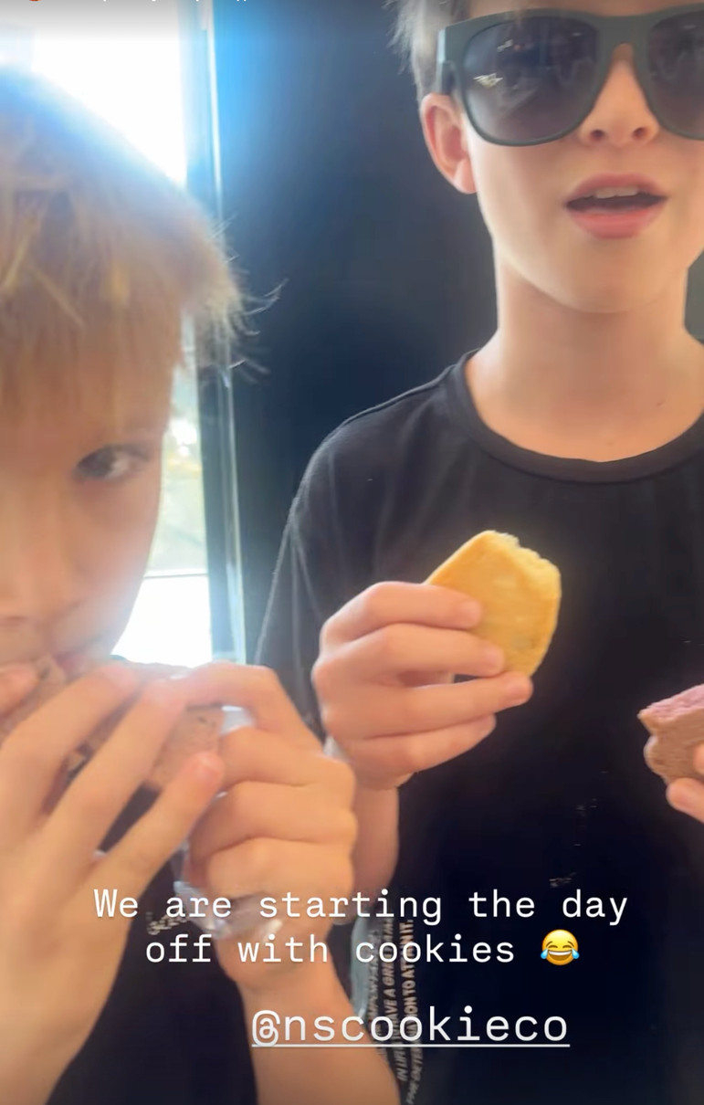 Хіларія Болдуїн похвалилася синами на милому фото