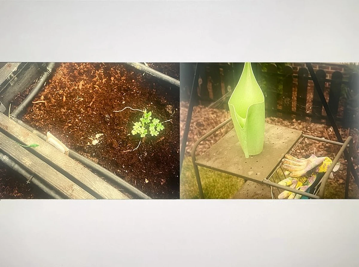 Попоратися на грядках - релакс вихідного дня