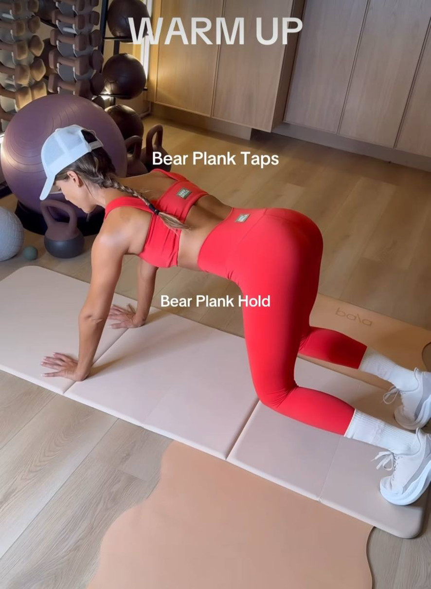 Альба у планці