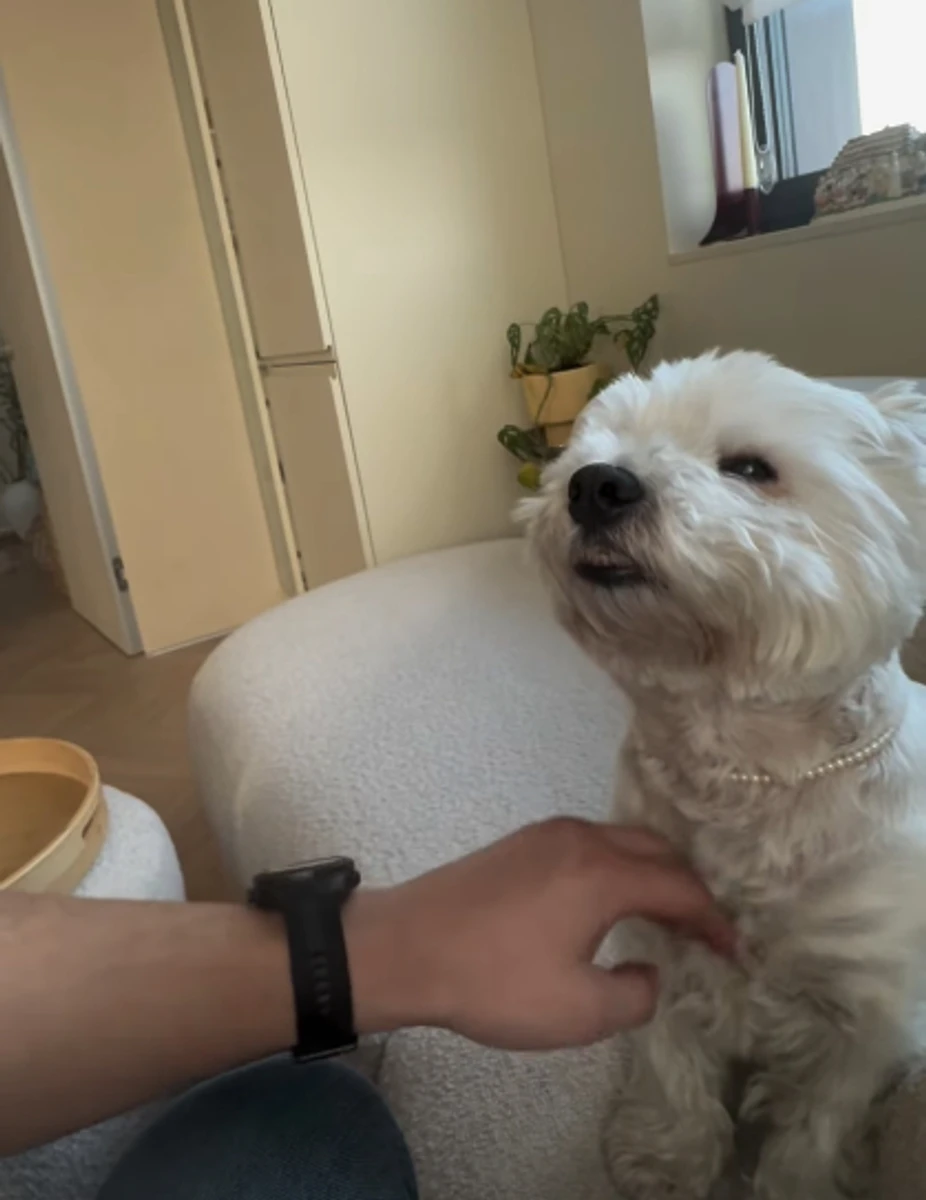 Нікітюк показала, як розважається з нареченим і песиком