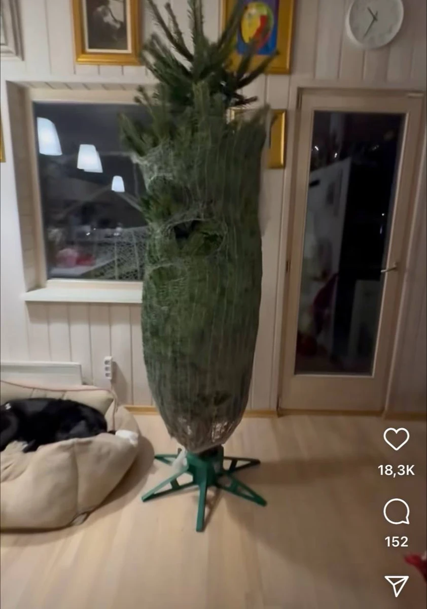 Ялинка Могилевської