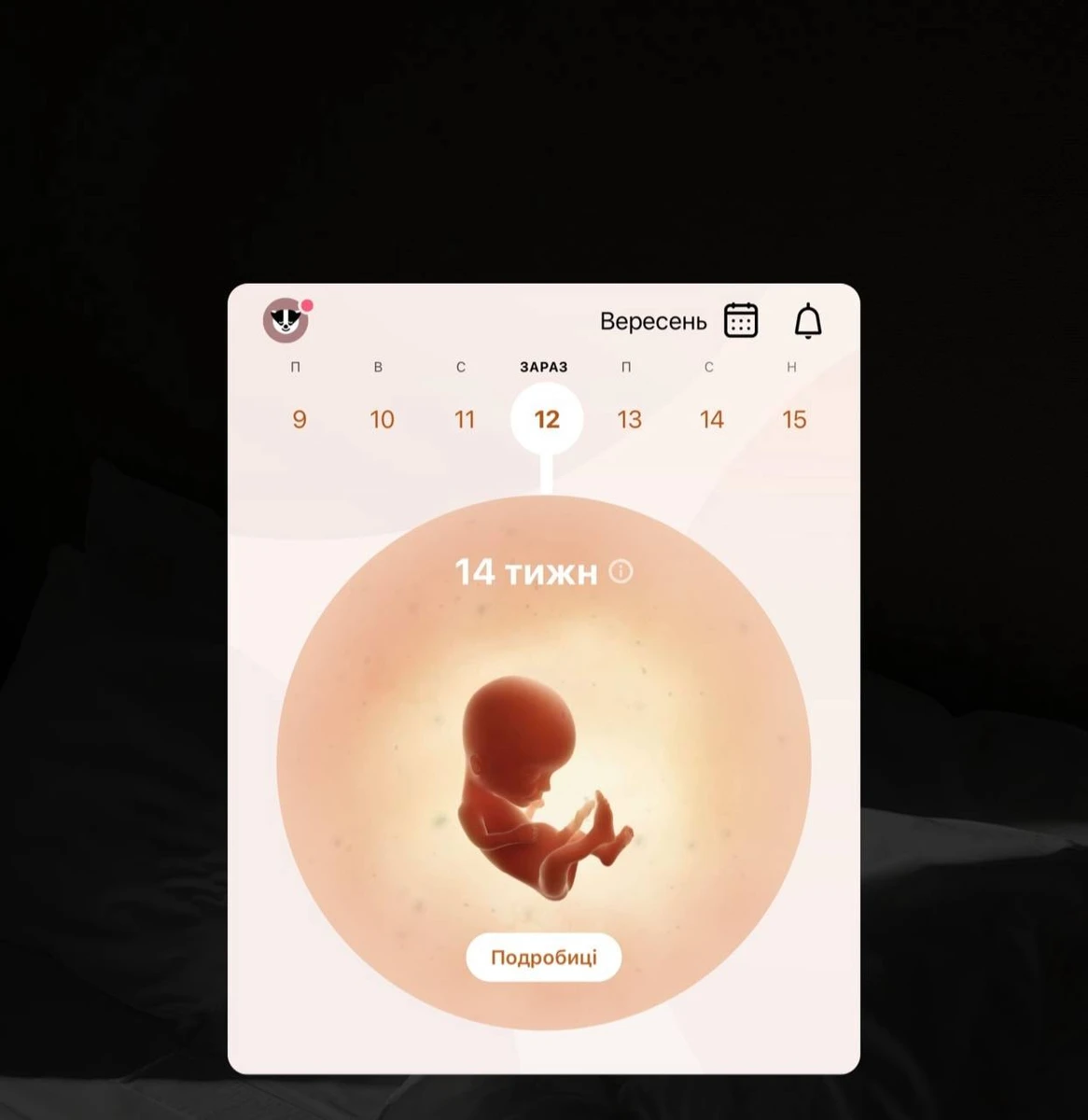 Термін вагітності Тані