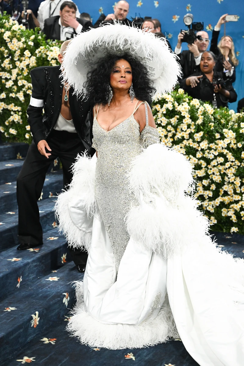 Даяна Росс у паєтках на Met Gala 2025