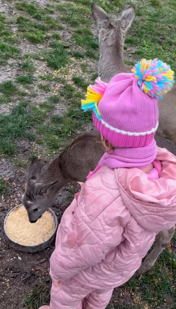 Наталія Могилевська показала, як її дочка знайомилася з косулями