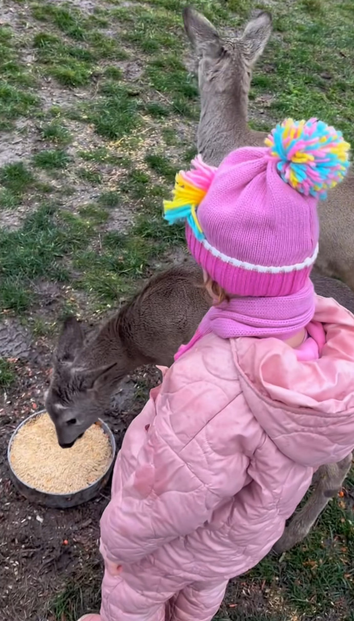 Наталія Могилевська показала, як її дочка знайомилася з косулями
