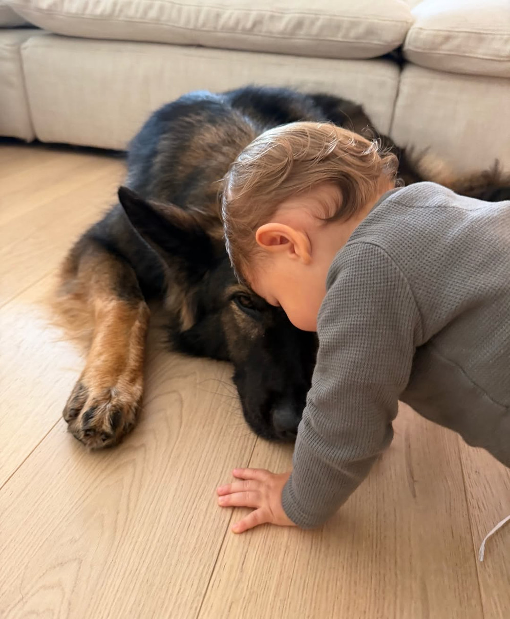 Жізель Бюндхен замилувала фото свого сина з песиком