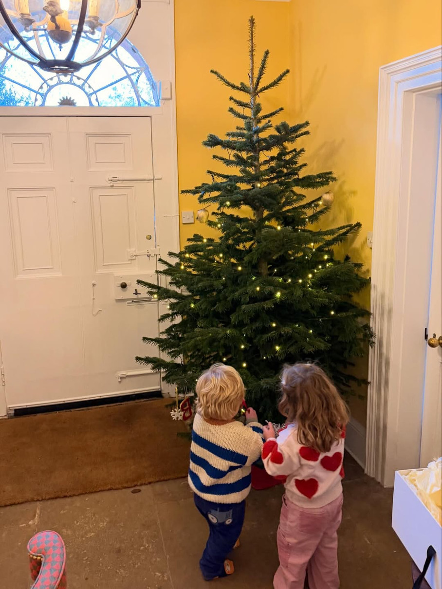 Діти Бориса Джонсона тішаться ялинкою
