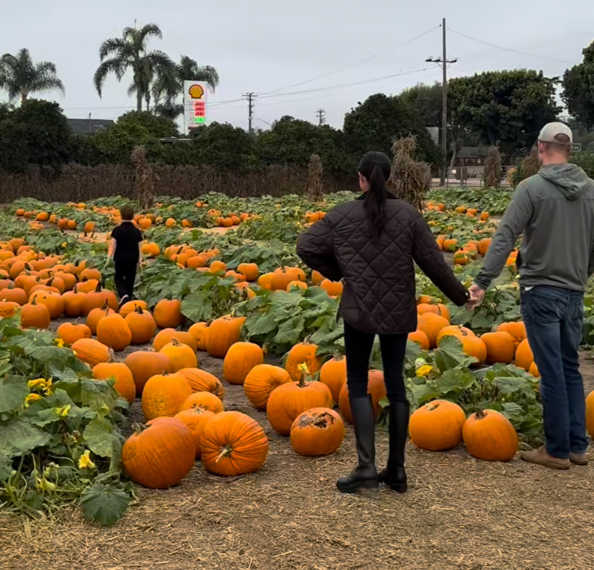 Принц Гаррі та Меган Маркл за ручку попозувала з сином серед гарбузів