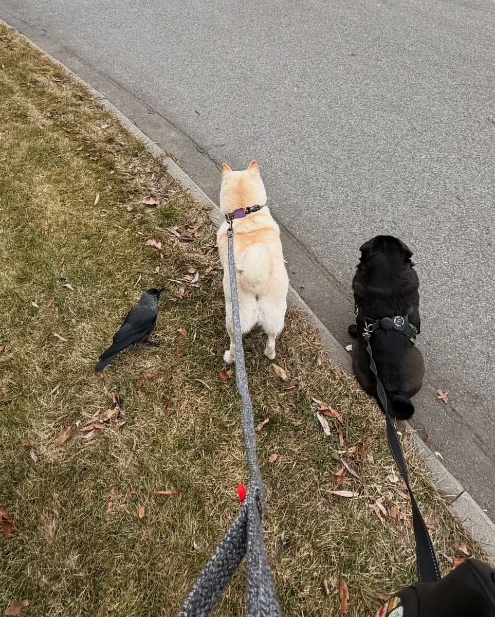 Даша Астаф'єва поділилася яскравими моментами місяця