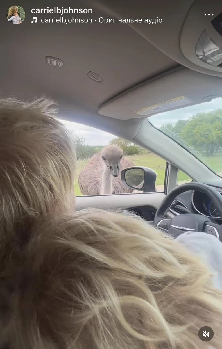 Борис Джонсон у Instagram