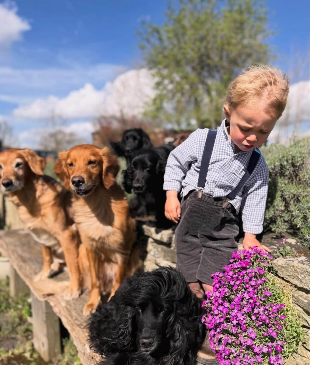 Брат Кейт Міддлтон