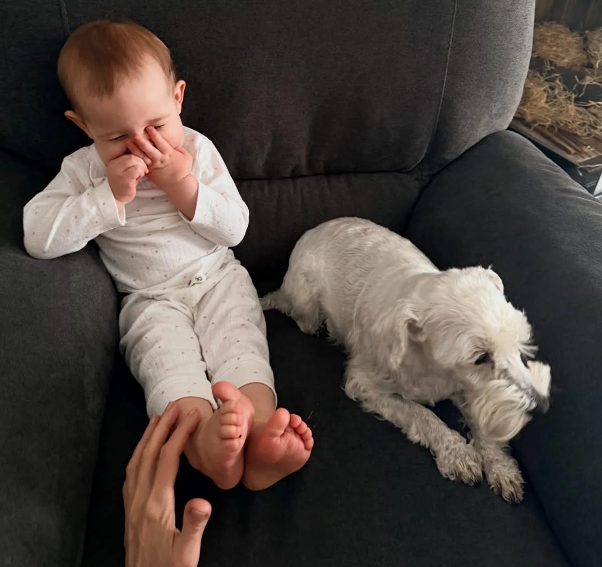 Дружина Позитива показала миле фото дочки з песиком