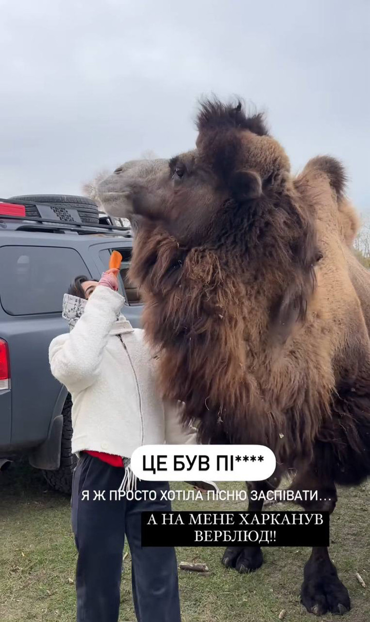 Трінчер з верблюдом