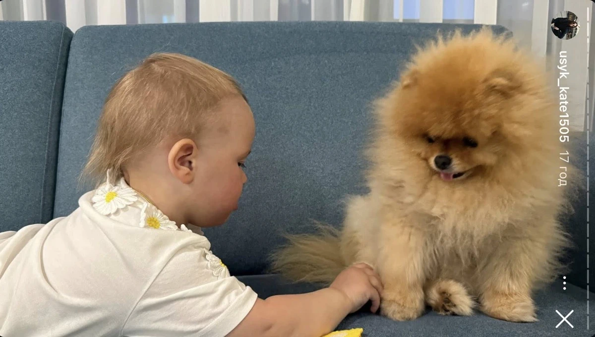 Дружина Усика в інстаграм