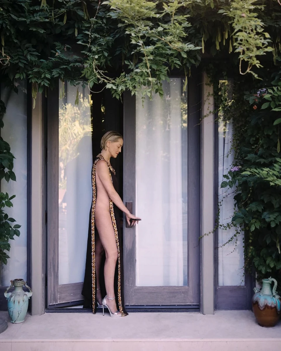 Шерон Стоун у сексі сукні посвітила оголеними стегнами