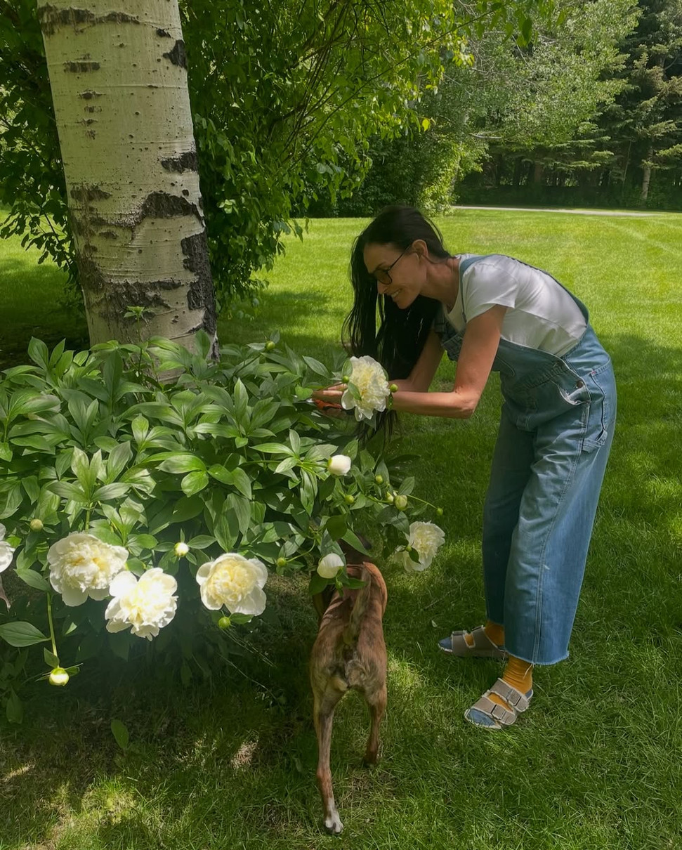 Демі Мур зі своїм собакою