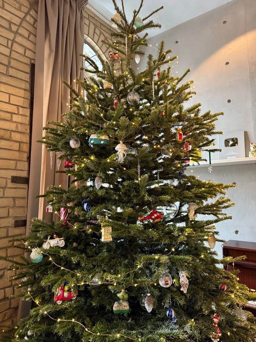 Різдвяне дерево від Кацуріних і Дорофєєвої