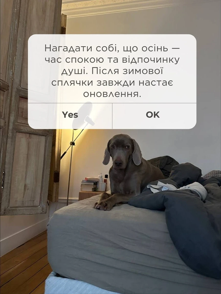 Цікаво, а в песиків буває осіння хандра? 