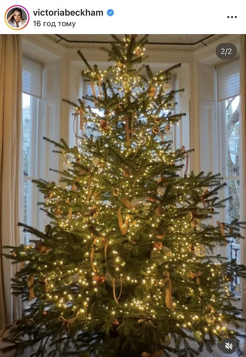 Різдвяна ялинка Бекхемів