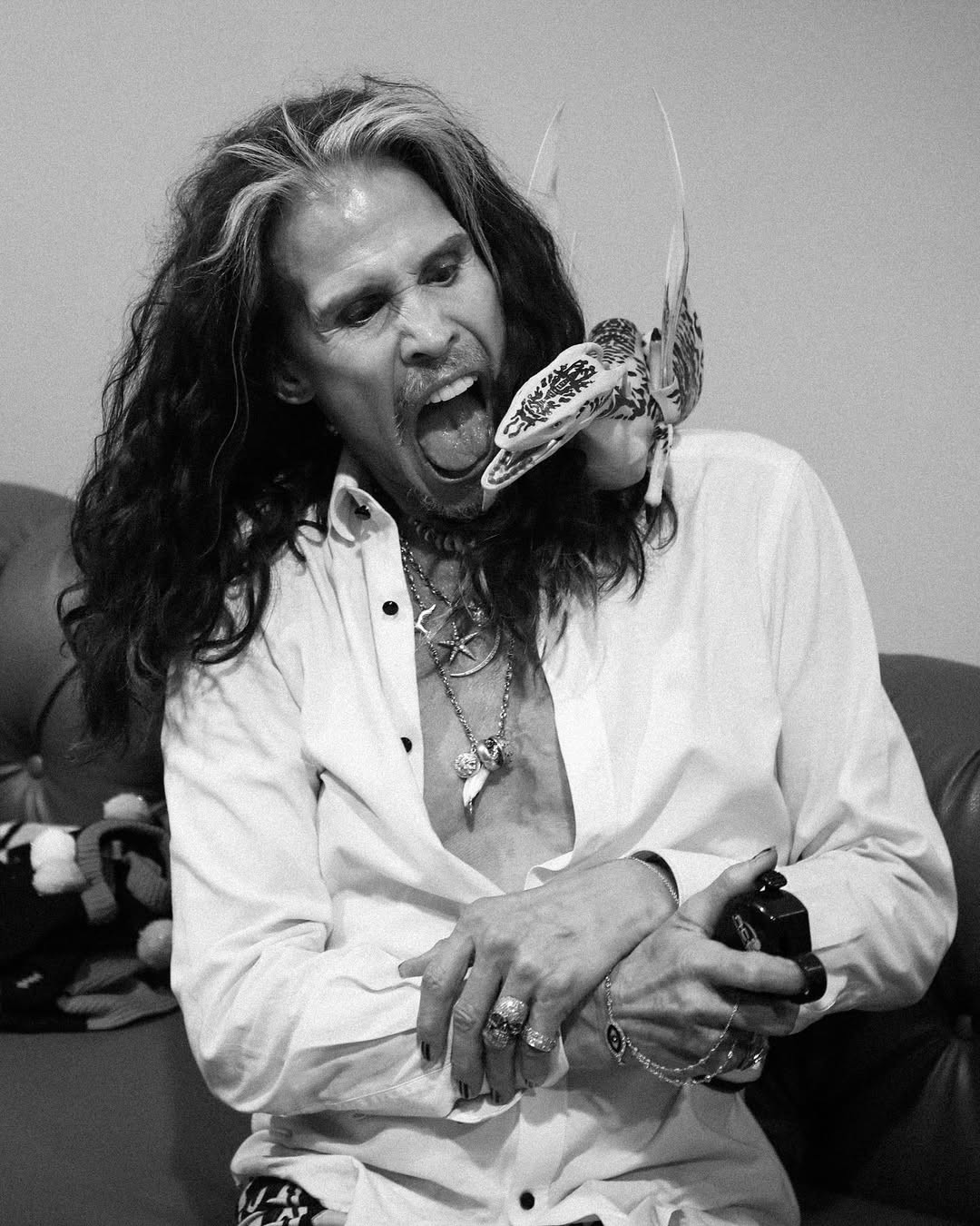 Стівен Тайлер зараз