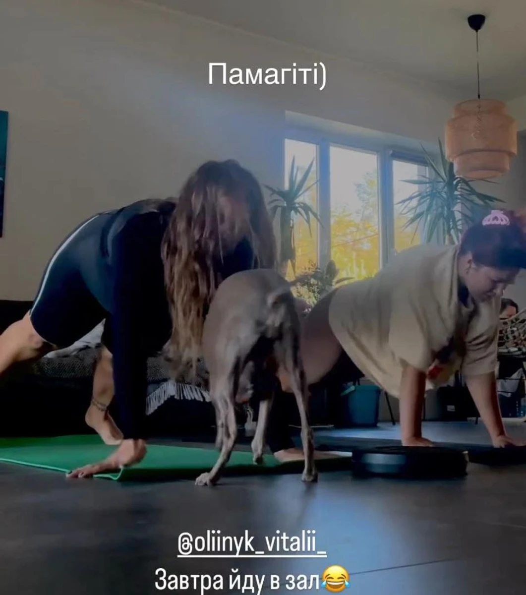 Спорт, коли є домашні улюбленці, перетворюється на веселощі