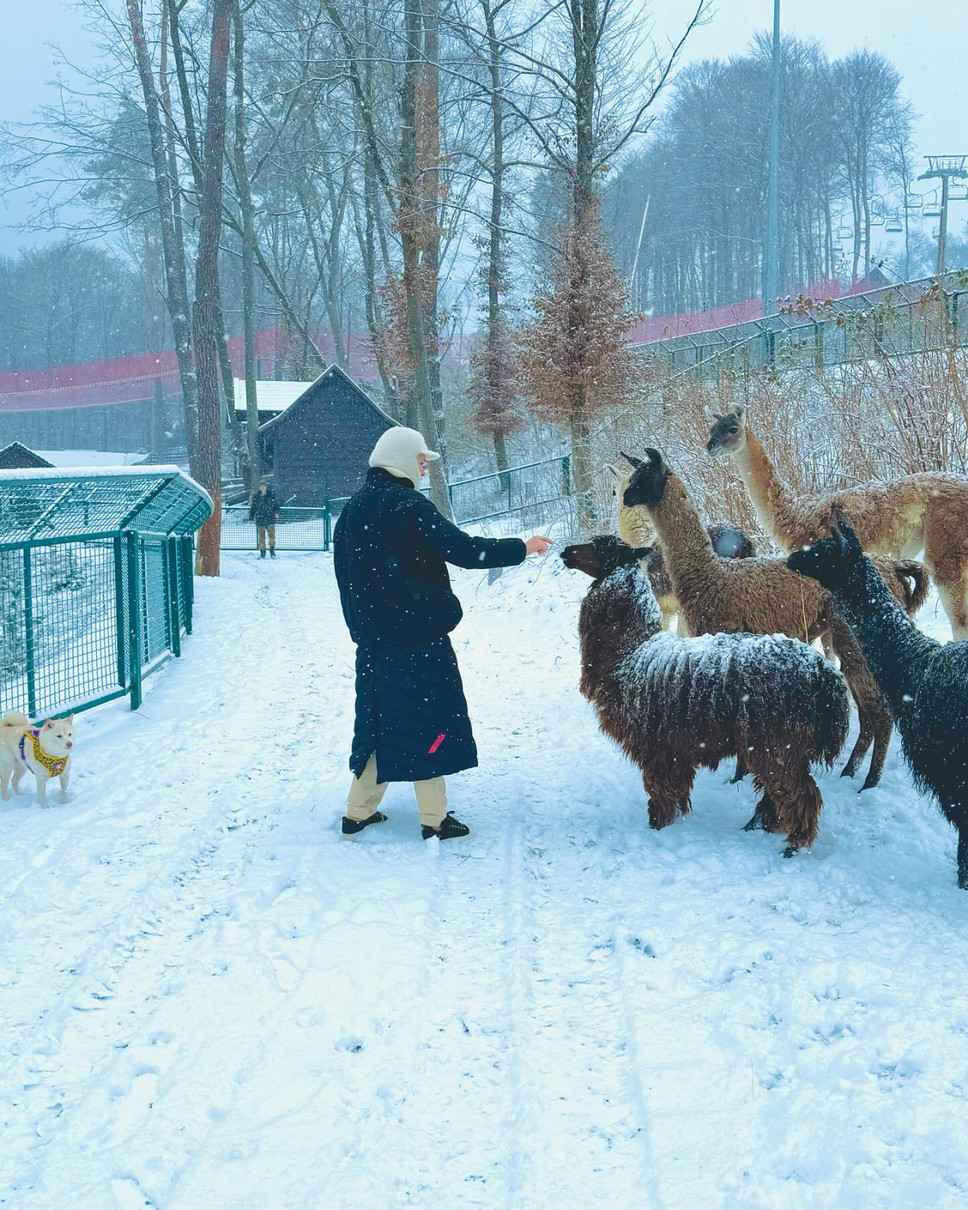 Крихітка тримається осторонь кудлатих лам