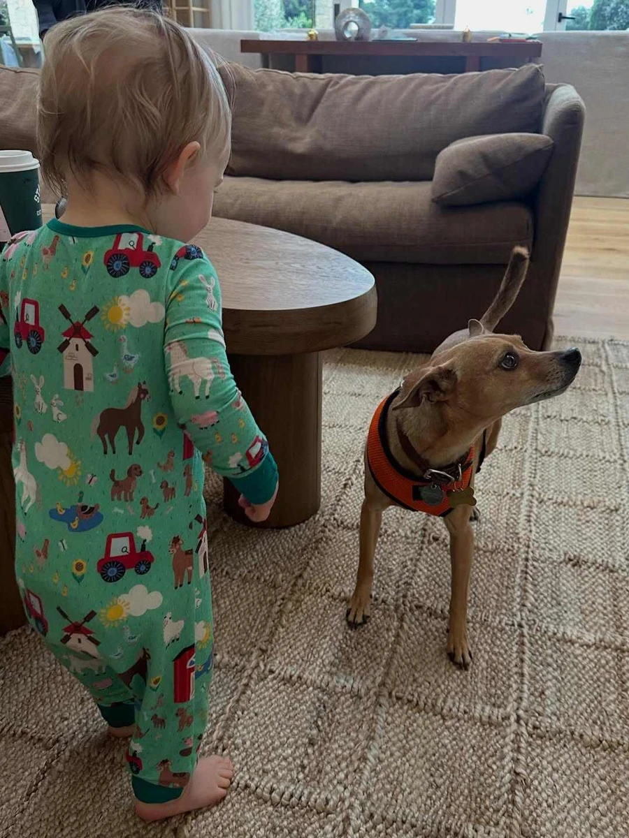 Донька Шварценеггера в інстаграм