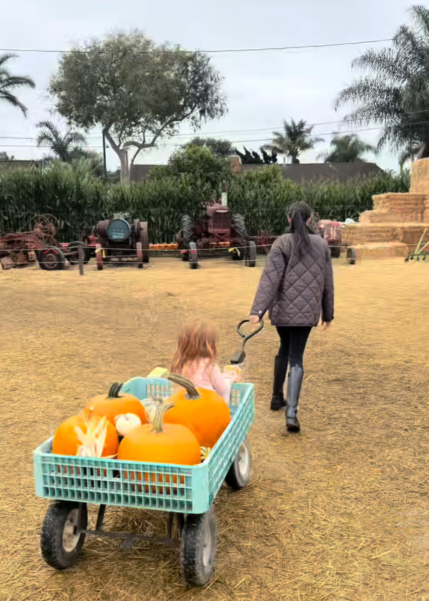 Принц Гаррі та Меган Маркл показали прогулянки з дітьми на полі гарбузів