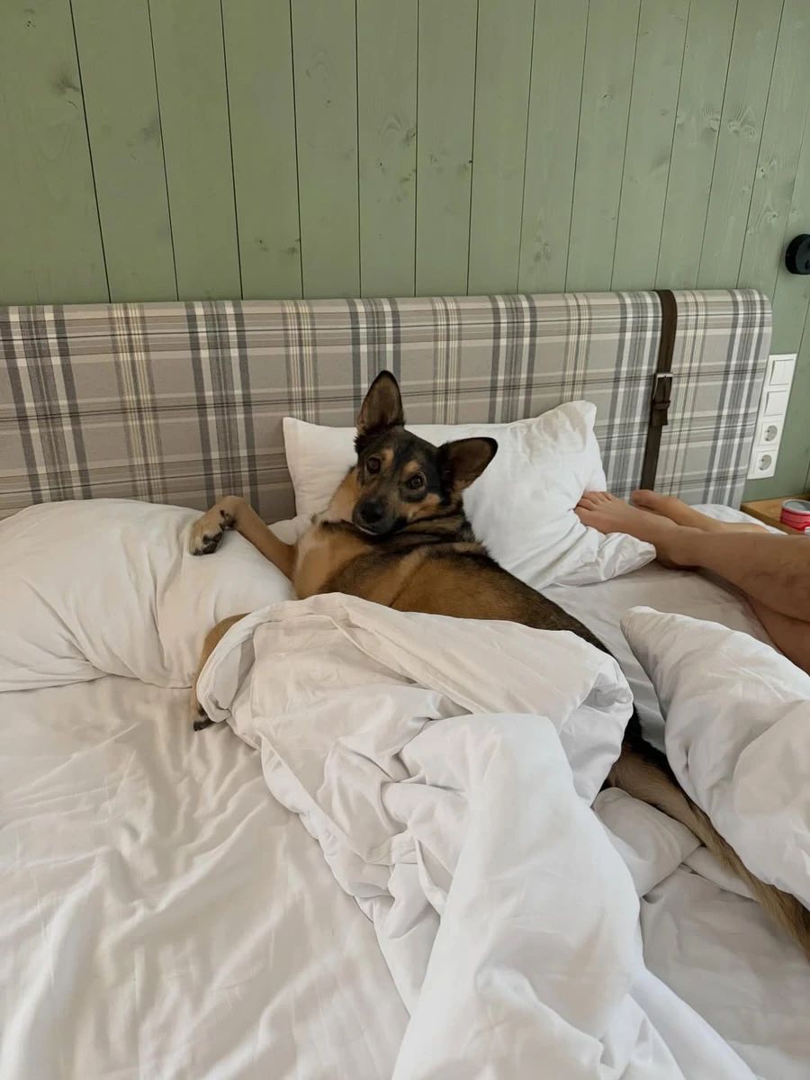 Фіма Константиновський зазнімкував свого улюбленця