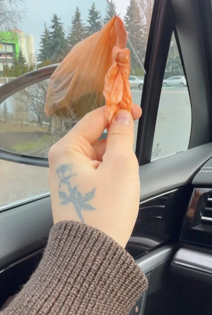 Дантес показав, як доглядає за дітьми Кацуріної