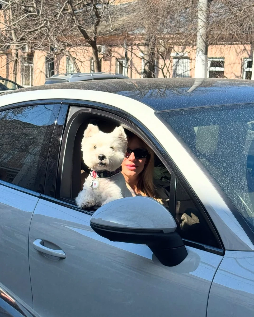 Леся Нікітюк зі своїм собакою у машині